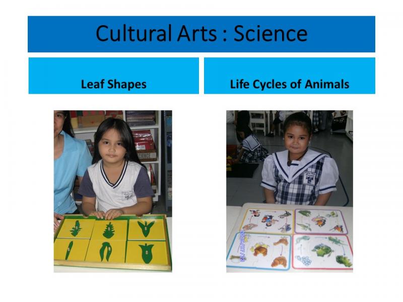 montessori science 2